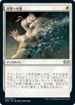 画像1: 流刑への道/Path to Exile　 (1)