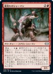 画像1: 薪荒れのシャーマン/Pyrewild Shaman　 (1)