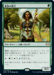 画像1: 貴族の教主/Noble Hierarch　 (1)