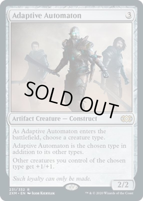 画像2: 順応する自動機械/Adaptive Automaton  (2)