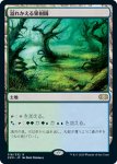 画像1: 溢れかえる果樹園/Flooded Grove　 (1)