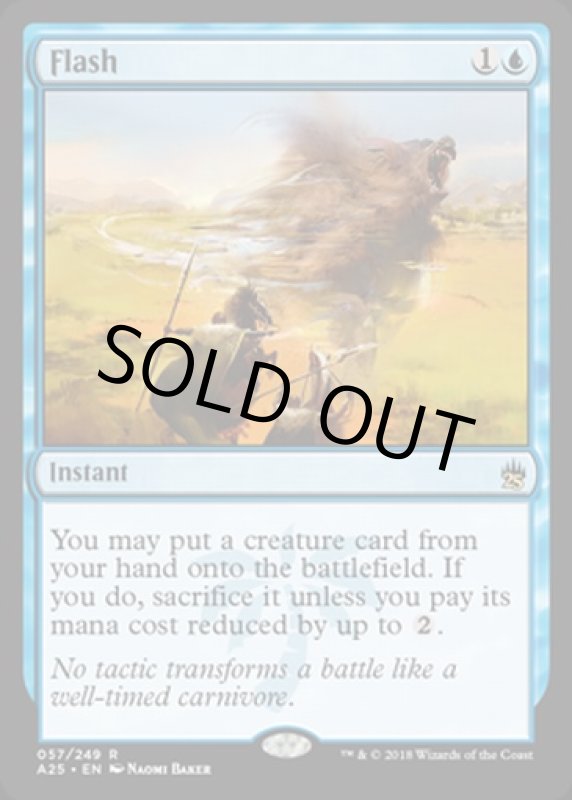 画像2: 閃光/Flash  (2)