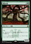 画像1: 解放の樹/Tree of Redemption　 (1)