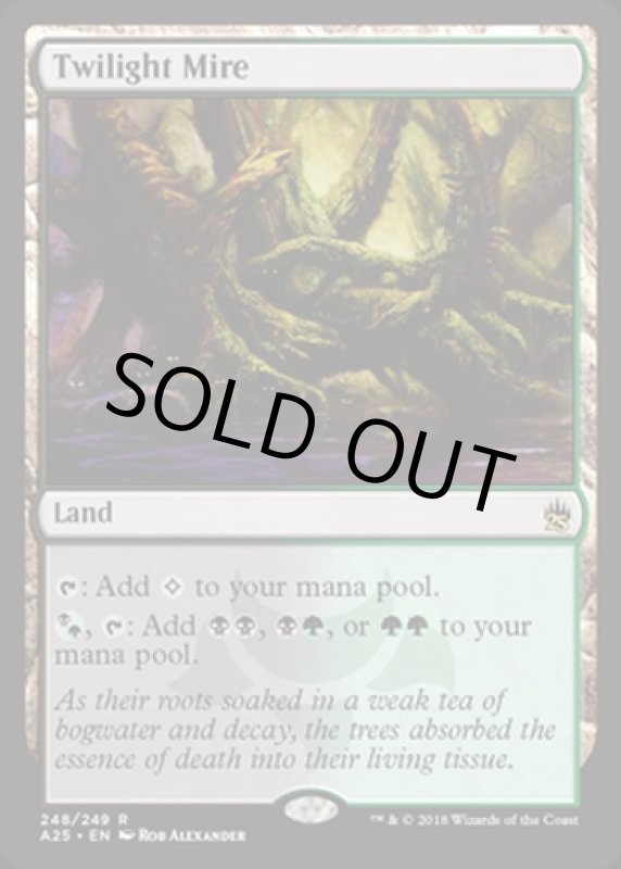 画像2: 黄昏のぬかるみ/Twilight Mire  (2)