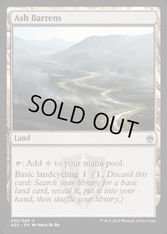 画像2: 灰のやせ地/Ash Barrens  (2)