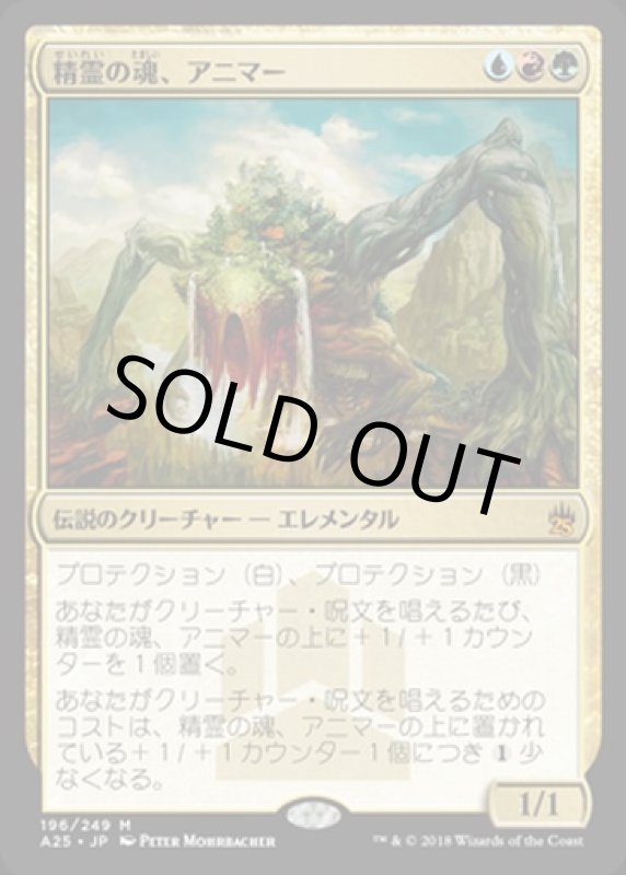 画像1: 精霊の魂、アニマー/Animar, Soul of Elements　 (1)