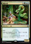 画像1: 神秘の蛇/Mystic Snake　 (1)