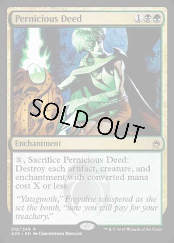 画像2: 破滅的な行為/Pernicious Deed  (2)
