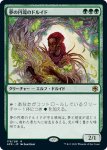 画像1: 夢の円環のドルイド/Circle of Dreams Druid (1)