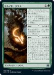 画像1: ドルイド・クラス/Druid Class (1)