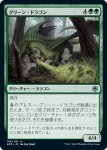 画像1: グリーン・ドラゴン/Green Dragon (1)