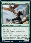 画像2: エルターガルドのレンジャー/Elturgard Ranger (2)