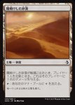 画像1: 陽焼けした砂漠/Sunscorched Desert　 (1)
