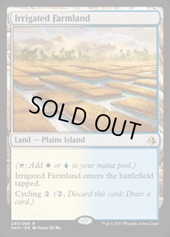 画像2: 灌漑農地/Irrigated Farmland  (2)