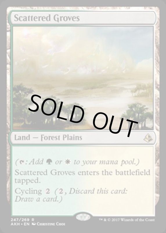 画像2: まばらな木立ち/Scattered Groves  (2)