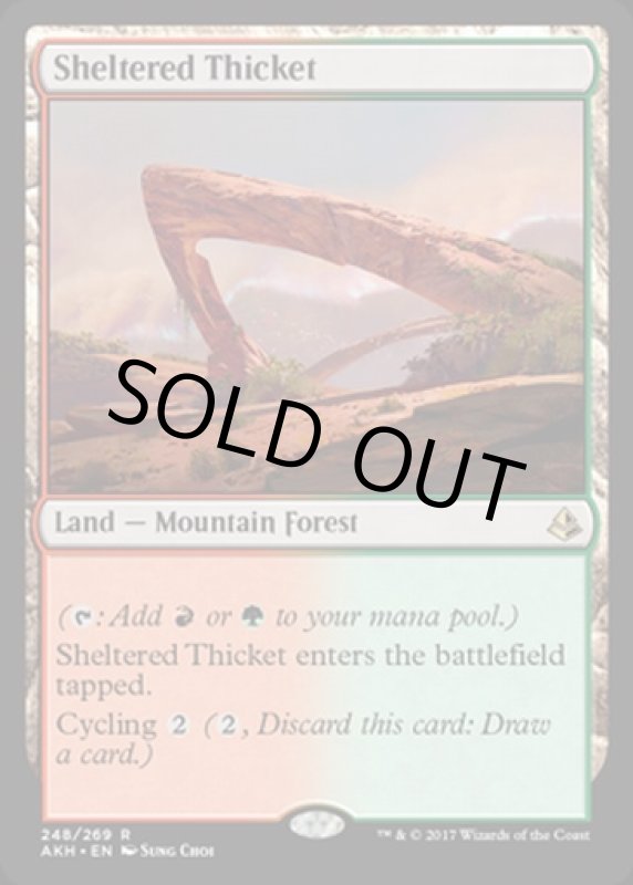 画像2: 隠れた茂み/Sheltered Thicket　 (2)