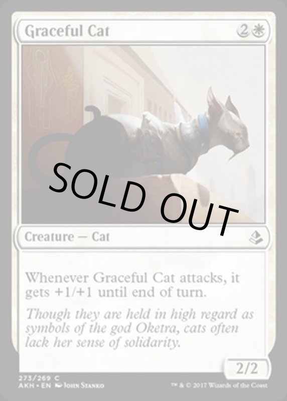 画像2: 優雅な猫/Graceful Cat　 (2)