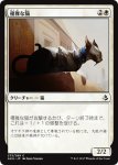 画像1: 優雅な猫/Graceful Cat　 (1)