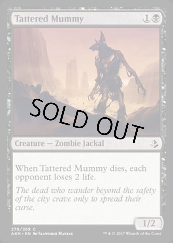 画像2: ぼろぼろのミイラ/Tattered Mummy　 (2)