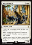 画像2: 威厳あるカラカル/Regal Caracal　 (2)