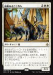 画像1: 威厳あるカラカル/Regal Caracal　 (1)