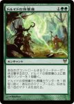 画像1: ドルイドの保管庫/Druids' Repository　 (1)