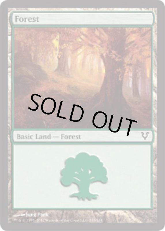 画像2: 森/Forest  (2)