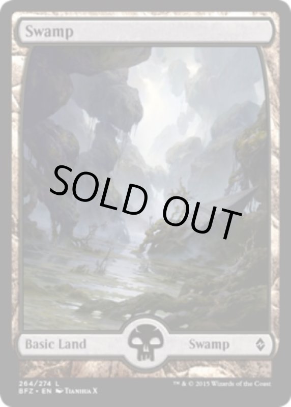 画像2: 沼/Swamp  (2)