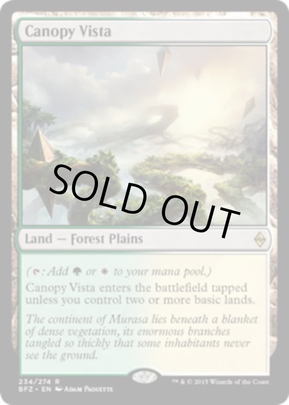 画像2: 梢の眺望/Canopy Vista  (2)