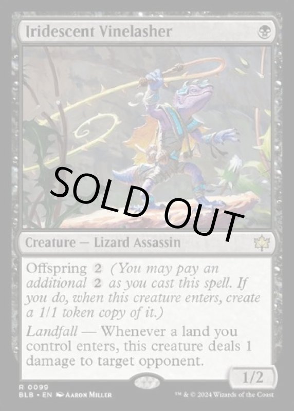 画像2: 玉虫色の蔦打ち/Iridescent Vinelasher (2)