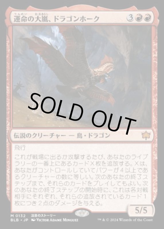 画像1: 運命の大嵐、ドラゴンホーク/Dragonhawk, Fate's Tempest (1)