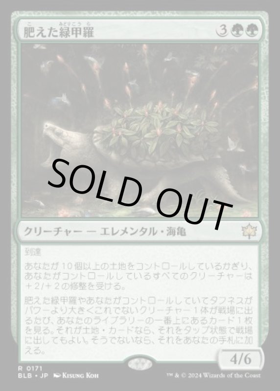 画像1: 肥えた緑甲羅/Fecund Greenshell (1)