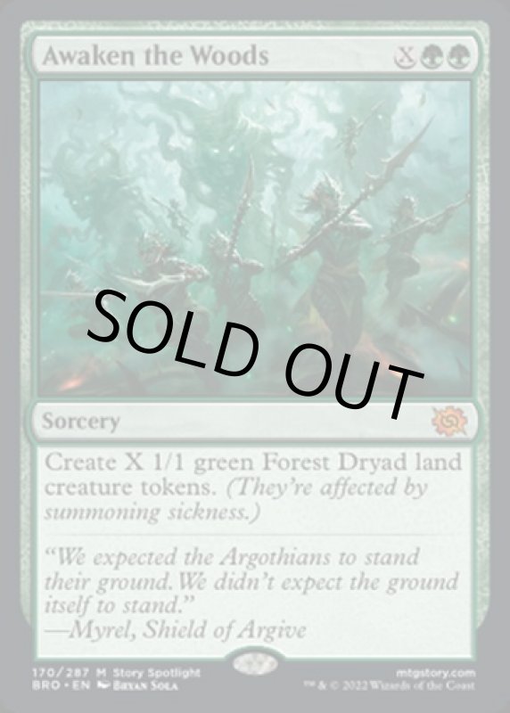 画像2: 森林の目覚め/Awaken the Woods (2)