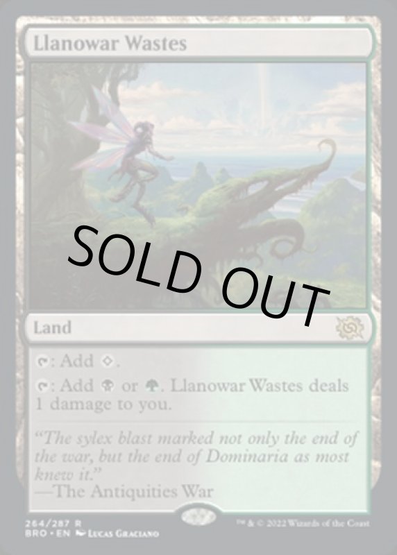 画像2: ラノワールの荒原/Llanowar Wastes (2)