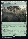 画像1: 自然の聖域、アルゴス/Argoth, Sanctum of Nature (1)