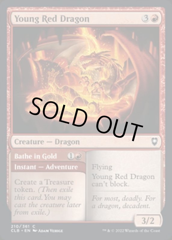 画像2: ヤング・レッド・ドラゴン/Young Red Dragon (2)