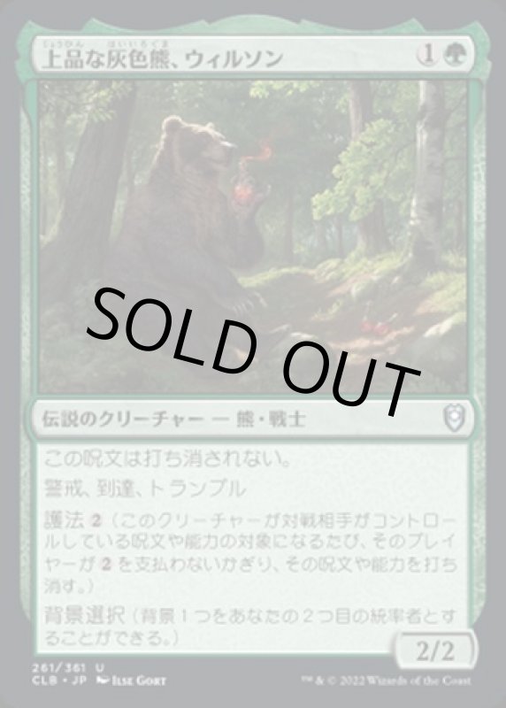 画像1: 上品な灰色熊、ウィルソン/Wilson, Refined Grizzly (1)