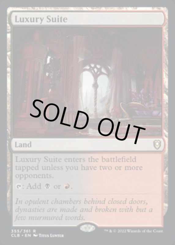 画像2: 特別観覧室/Luxury Suite (2)