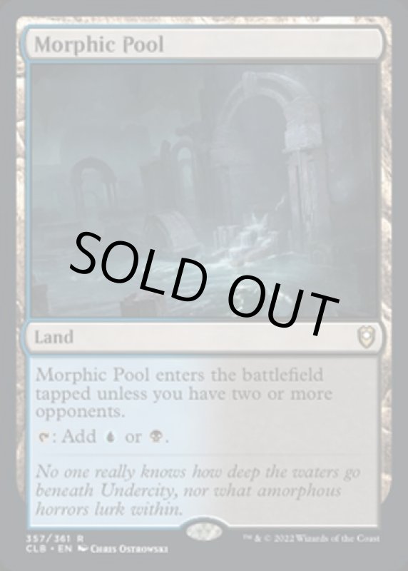 画像2: 変遷の泉/Morphic Pool (2)