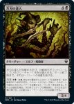 画像1: 茨刃の達人/Briarblade Adept (1)