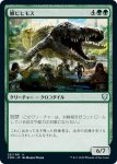 画像1: 鱗ビヒモス/Scaled Behemoth (1)