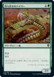 画像1: 待ち伏せのバイパー/Ambush Viper (1)