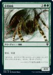 画像2: 歩哨蜘蛛/Sentinel Spider (2)