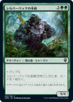 画像1: シルバーバックの巫師/Silverback Shaman (1)