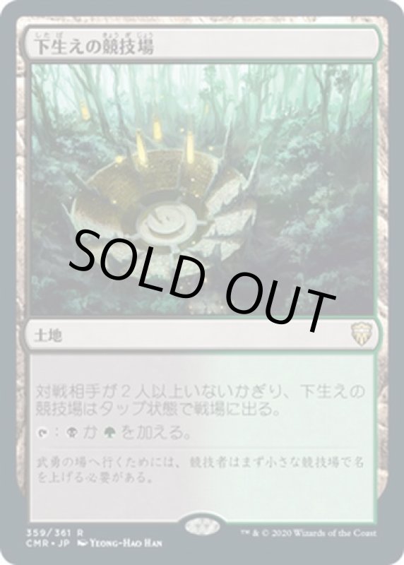 画像1: 下生えの競技場/Undergrowth Stadium (1)