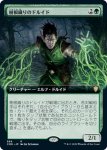 画像1: 【拡張】樹根織りのドルイド/Rootweaver Druid (1)