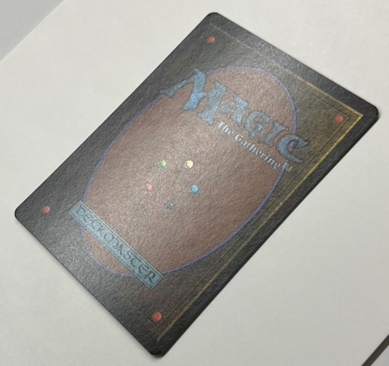 画像4: Elephant Graveyard (4)