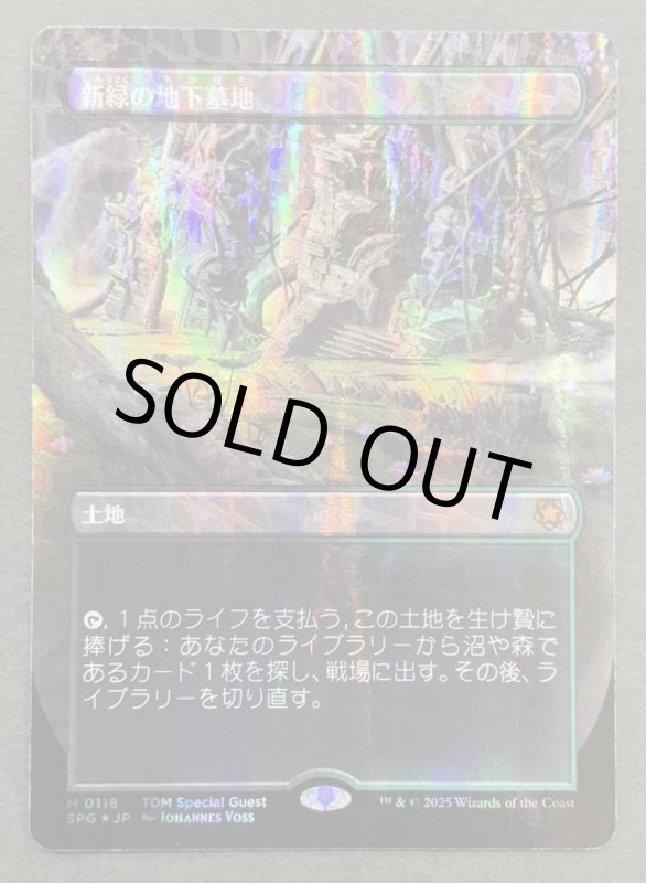 画像1: 【ドラゴンスケイルFOIL】新緑の地下墓地/Verdant Catacombs (1)