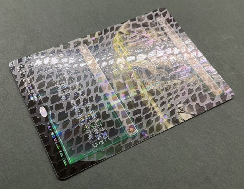 画像2: 【ドラゴンスケイルFOIL】新緑の地下墓地/Verdant Catacombs (2)