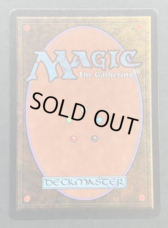 画像5: The Tabernacle at Pendrell Vale (5)